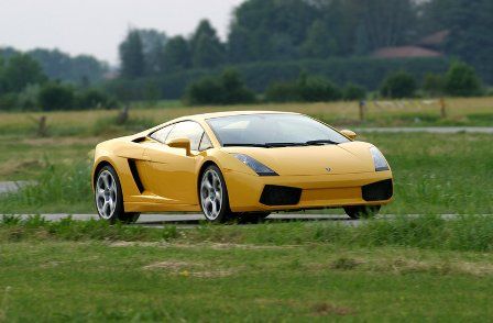Gallardo 6